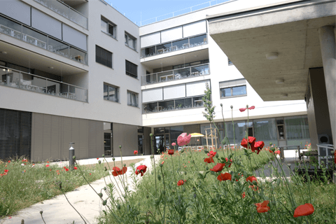 sarah grusch architektur architekt